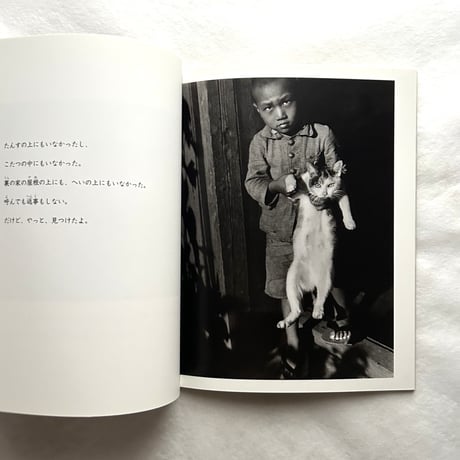 かくれんぼ / たくさんのふしぎ249