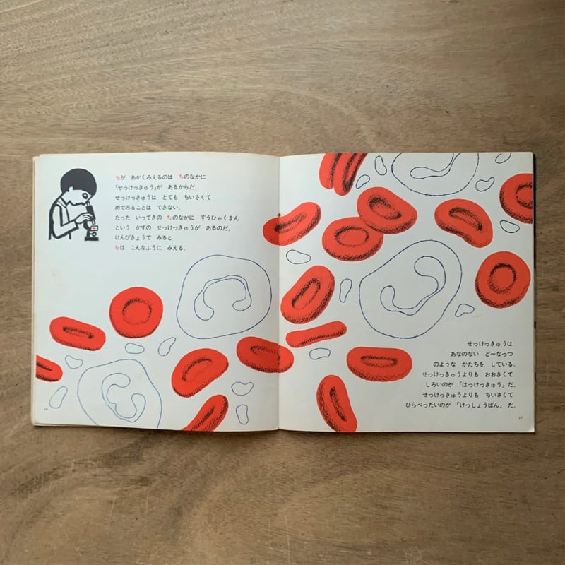 ちのはなし / かがくのとも22号 古書 | 本まるさんかくしかく