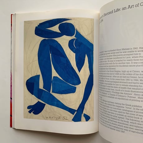 Henri Matisse 1869-1954 Master of Colour