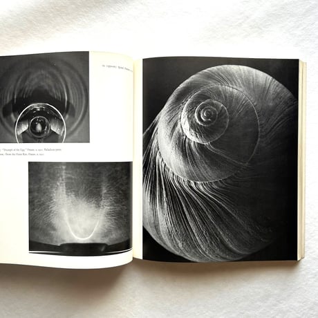 Steichen A Life in Photography / エドワード・スタイケン