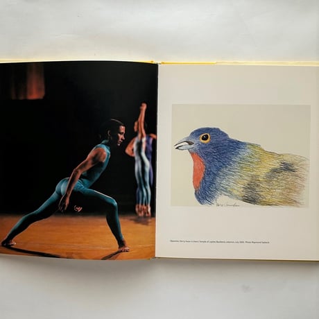 Other Animals　 / Merce Cunningham