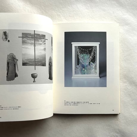 野中ユリ 画文集 / 神奈川県立近代美術館