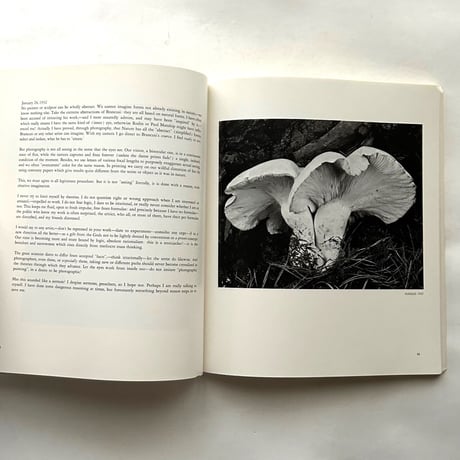 Edward Weston The Flame of Recognition / Edward Weston, Nancy Newhall