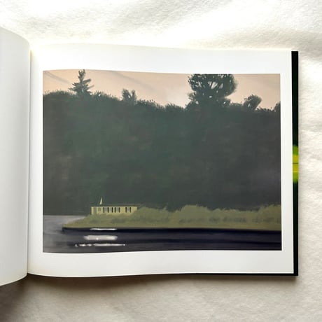 Alex Katz   This Is Now / Michael Rooks, Margaret Graham