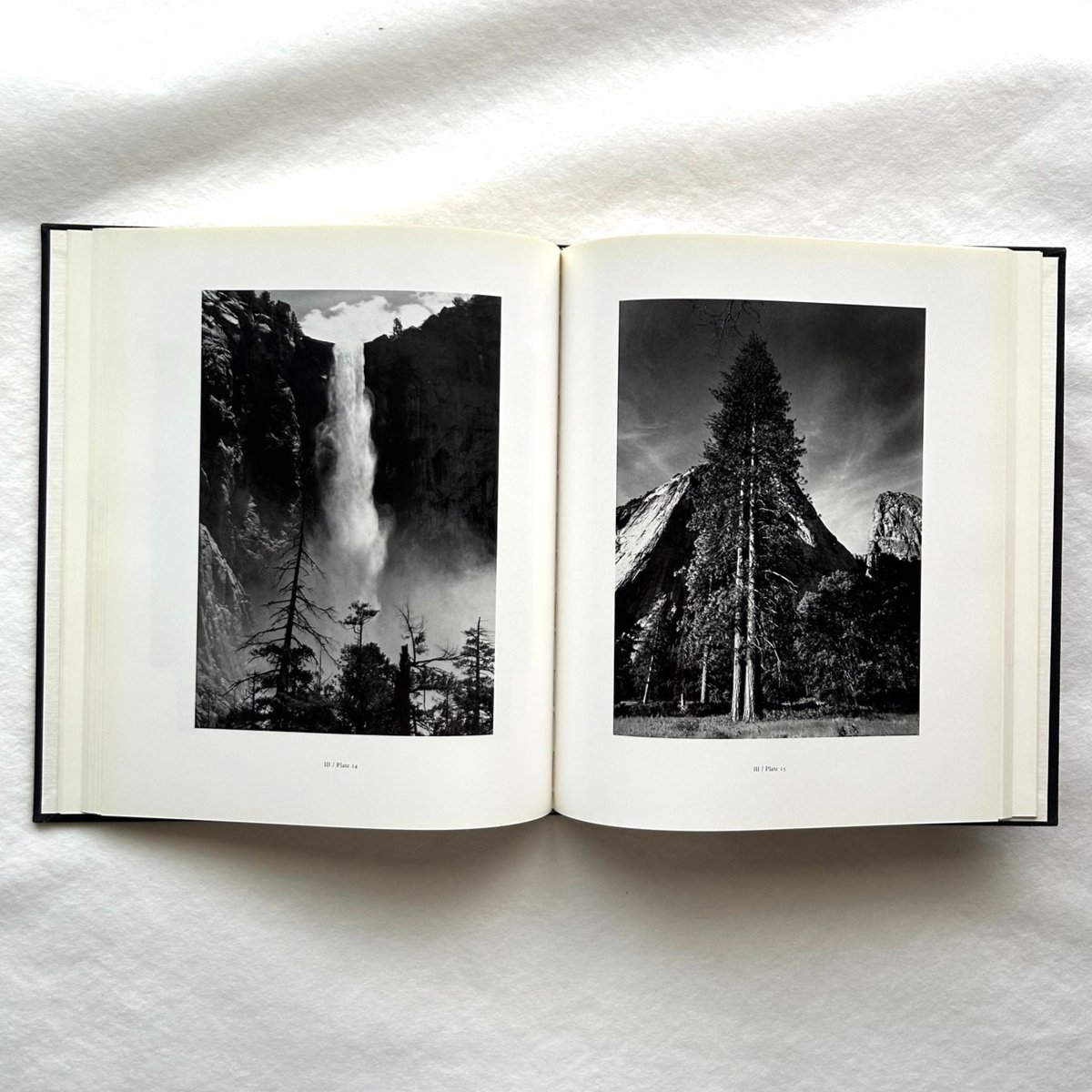 アンセル・アダムス　Ansel Adams　Trees The Portfolios of Ansel Adams / アンセル・アダムス | 本まる