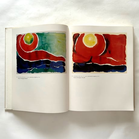 Georgia O'Keeffe  Art and Letters / Jack Cowart, Juan Hamilton