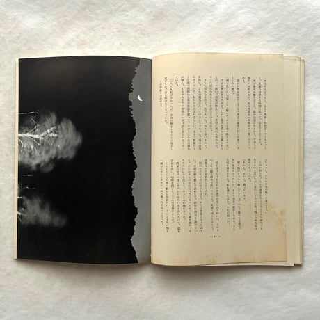 アルプ184号 /  特集 風