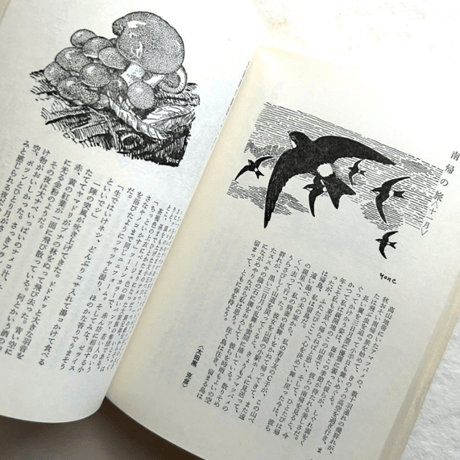 自然手帖 / 串田孫一 、尾崎喜八、太田黒克彦 他