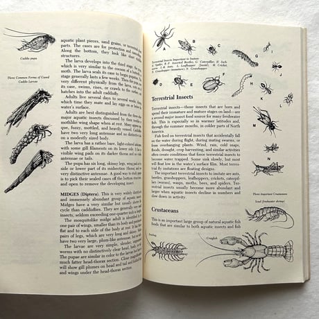 L.L. Bean Fly Fishing for Bass Handbook
