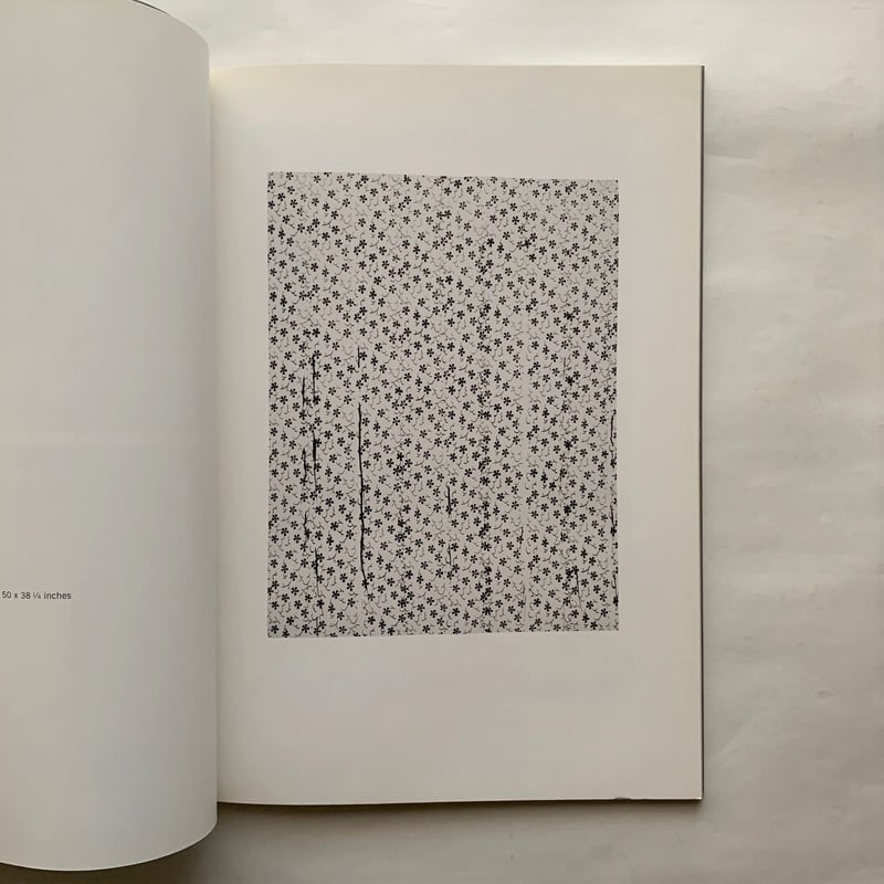 Christopher Wool クリストファー・ウール 作品集 古書古本 Totodo: Christopher Wool（クリストファー・ウール