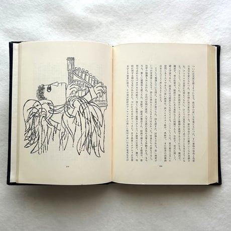 ある絵の伝記 / ベン・シャーン