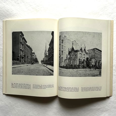 Nineteenth-Century New York in Rare Photographic Views / Frederick S. Lightfoot