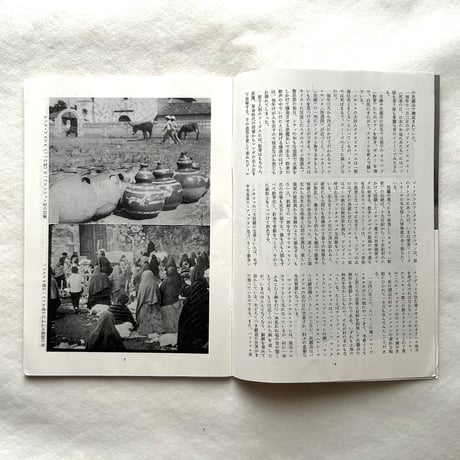 メキシコの魅力と民藝 / 民藝393