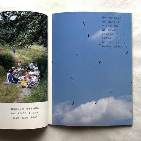 風を見たことある？ / たくさんのふしぎ260