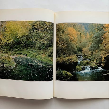 camera No 3 / 52th year / C.J.BUCHER.LTD