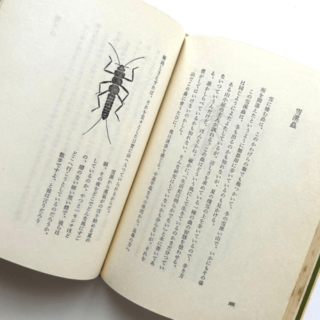 博物誌・Ⅲ / 串田孫一