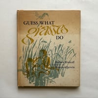 Guess what grasses do / Barbara Rinkoff