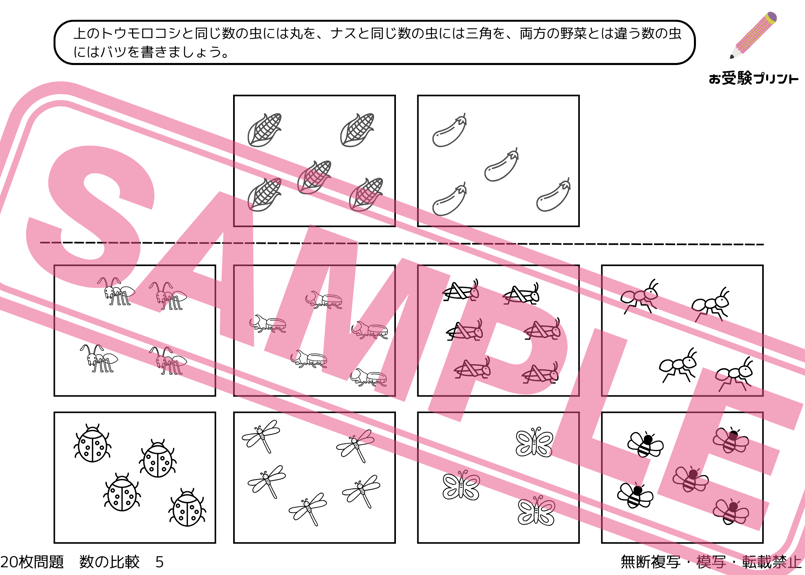 比較画像確認用 確認用】アイバーソン② 検証】スリクソンアイアン ZX