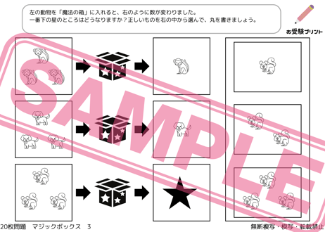 【小学校受験：ペーパー対策】理解度確認用「魔法の箱/マジックボックス」