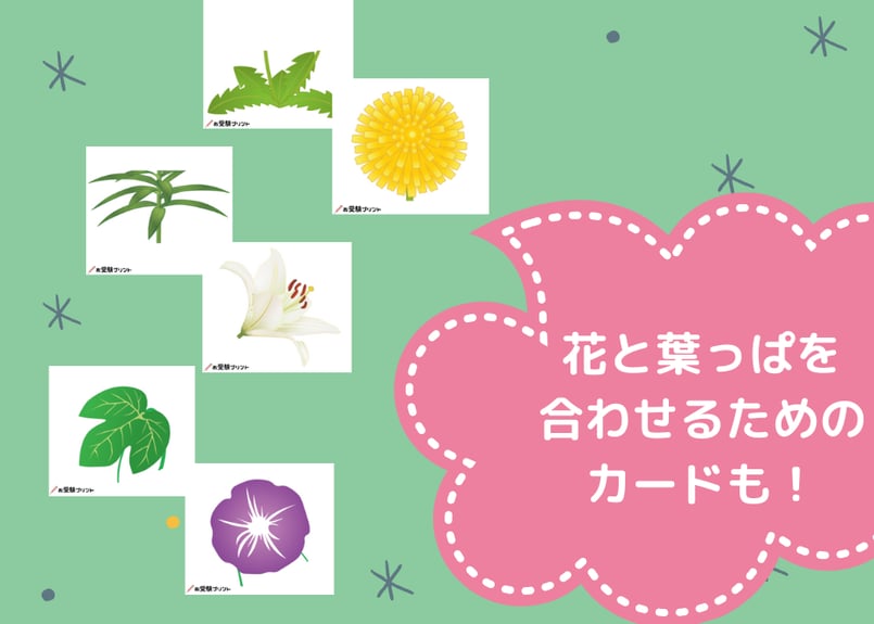 完全網羅】小学校受験 季節対策 191語 お受験プリントWEB連動型 季節