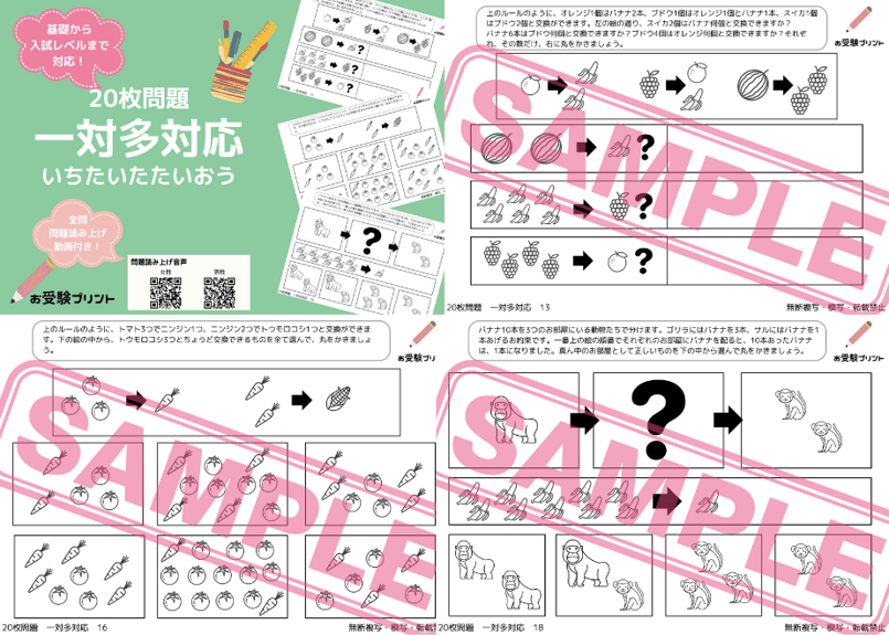 小学校受験問題集【ミネルバB】vol.13〜24セット 小学校受験問題集