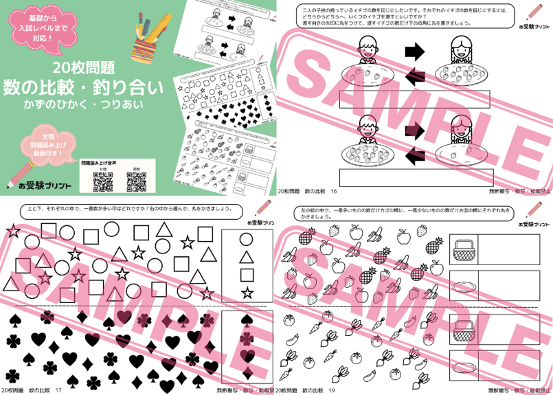 カリタス小学校編】お得な19科目：学校別ばっちりパック！全問