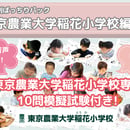 6764cc2ebd9ebe00f6cb2fb3