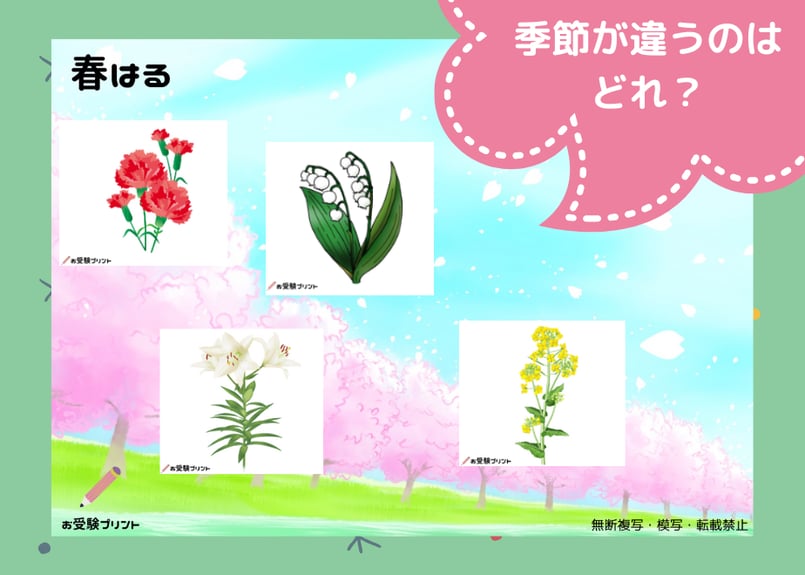 完全網羅】小学校受験 季節対策 191語 お受験プリントWEB連動型 季節