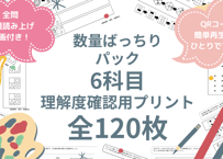 【数量ばっちりパック】数量頻出6科目、問題120ページのセット（基礎から入試レベルまで）