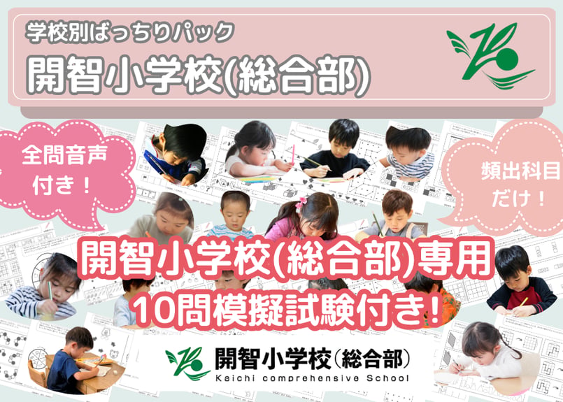 開智小学校(総合部) 分野別問題集 開智小学校（総合部）編】お得な20科目：学校別ばっちりパック！全問