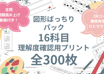【図形ばっちりパック】図形頻出16科目、問題300ページのセット（基礎から入試レベルまで）