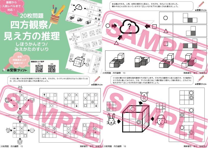 早稲田実業学校初等部受験クラス　総復習プリント 早稲田実業学校初等部編】お得な32科目：学校別ばっちりパック！全問