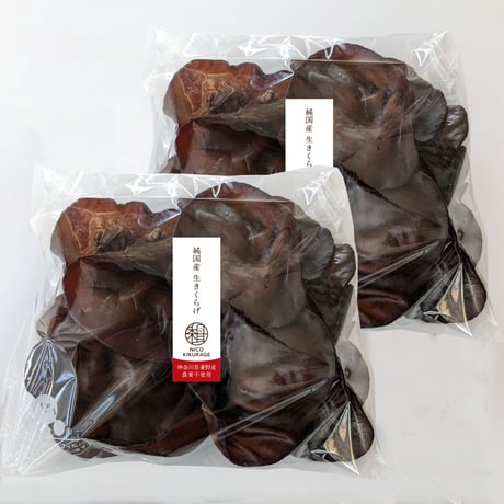 【秦野市内お住まいの方限定（送料無料）】完全無農薬 国産 生きくらげ（1kg）- 食物繊維、鉄分、ビタミンD豊富！