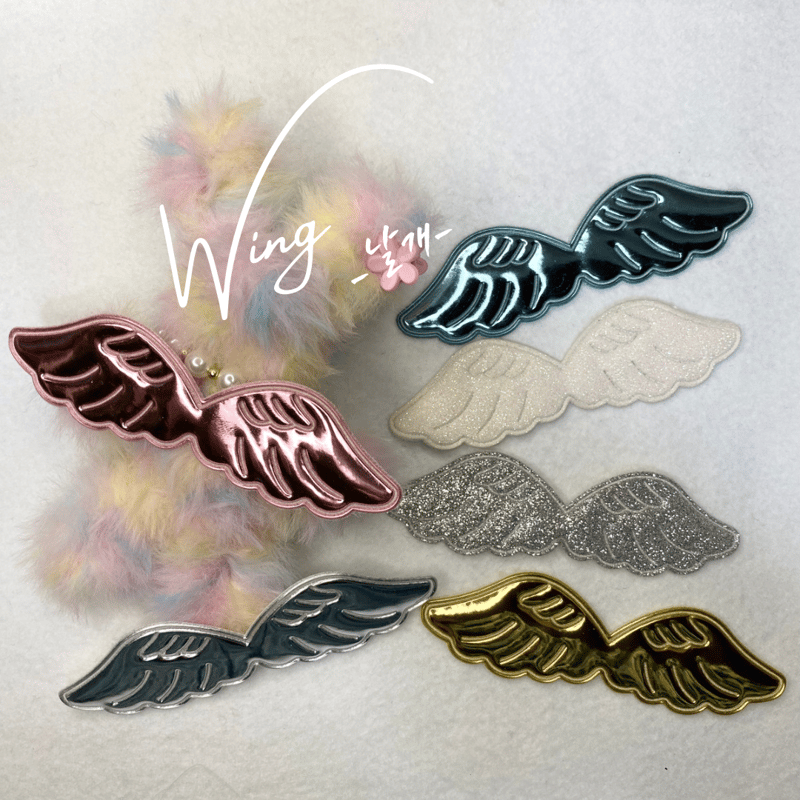 ❤トリマリン♡さま❤天使の羽根出しSession❤ 天使の羽 | Korean Factory 별-