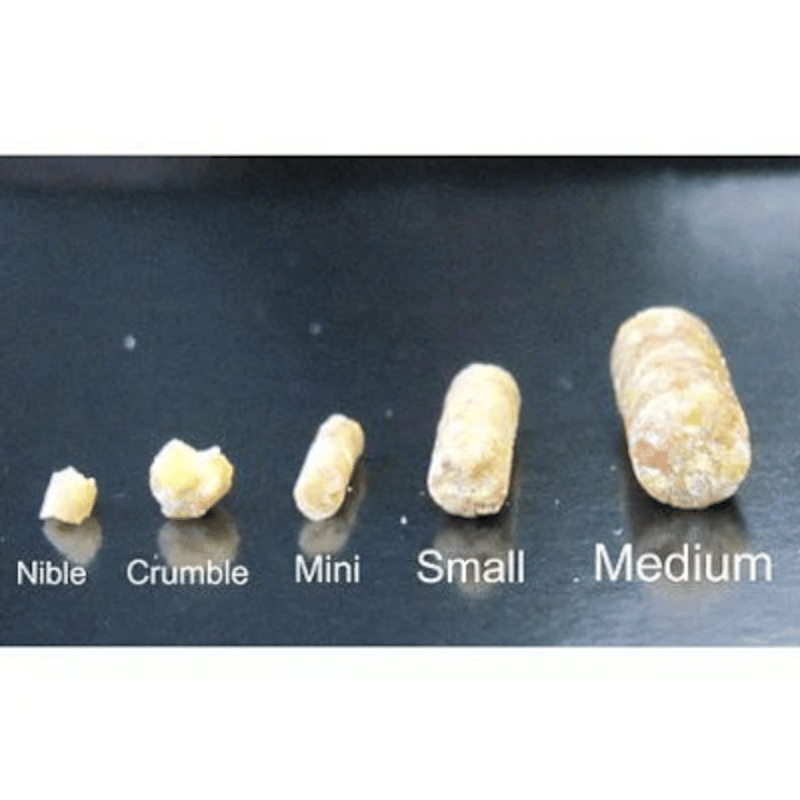 ご希望金額へ変更ラウディブッシュ デイリーメンテナンス スモール1.25