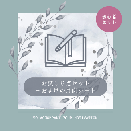 【月謝シート付き！初心者セット🔰】ルーズリーフ家計簿