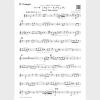🌸 Solo Bb Trumpet (Parts)