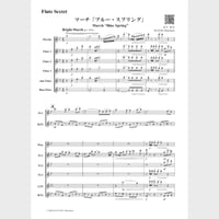 🌸 Flute Sextet