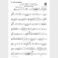 🌸 Solo Eb Alto Sax. (Parts)