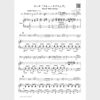 🌸 Solo Tuba