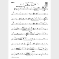 🌸 Solo Flute (Parts)