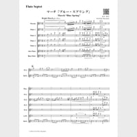 🌸 Flute Septet