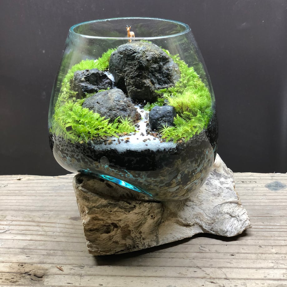 65c5f4e6c1e66b153b4dbbc6