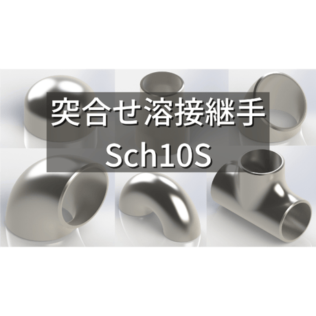 【突合せ溶接式管継手 ステンレス Sch10S】CADデータ / 3D / STEP