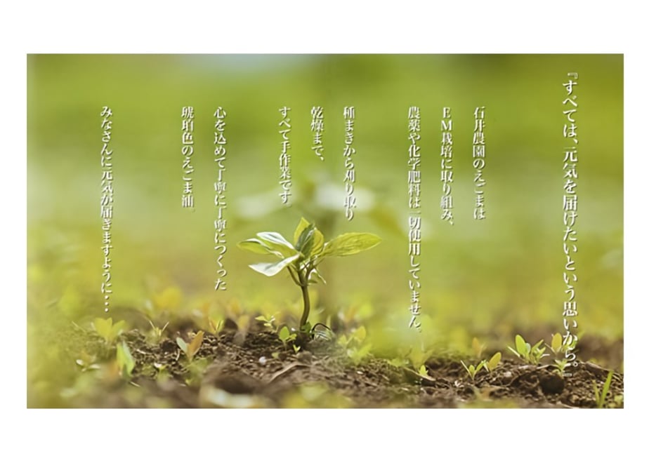 6821ea6385f93414fc9e476a
