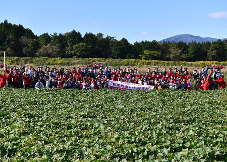 訳あり　干し芋　300g×3袋　楢葉町振興公社　【楢葉町】