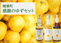 感謝のゆず　3本セット（ぽんず・ドレッシング・生搾り）　楢葉町振興公社　【楢葉町】