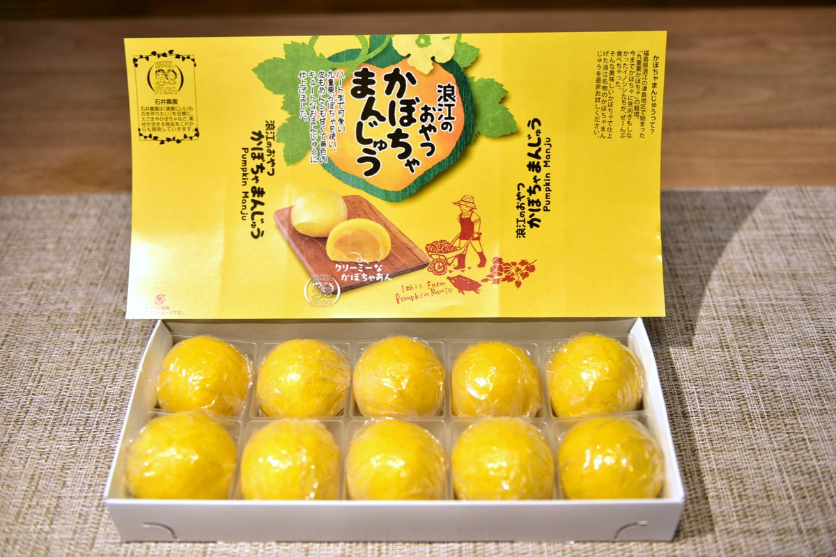 浪江町】浪江のおやつ かぼちゃまんじゅう 10個入 冷凍便 送料無料