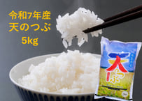 米　 天のつぶ　５kg　令和７年産　福島県産　単一原料米　ごろくファーム　【南相馬市】