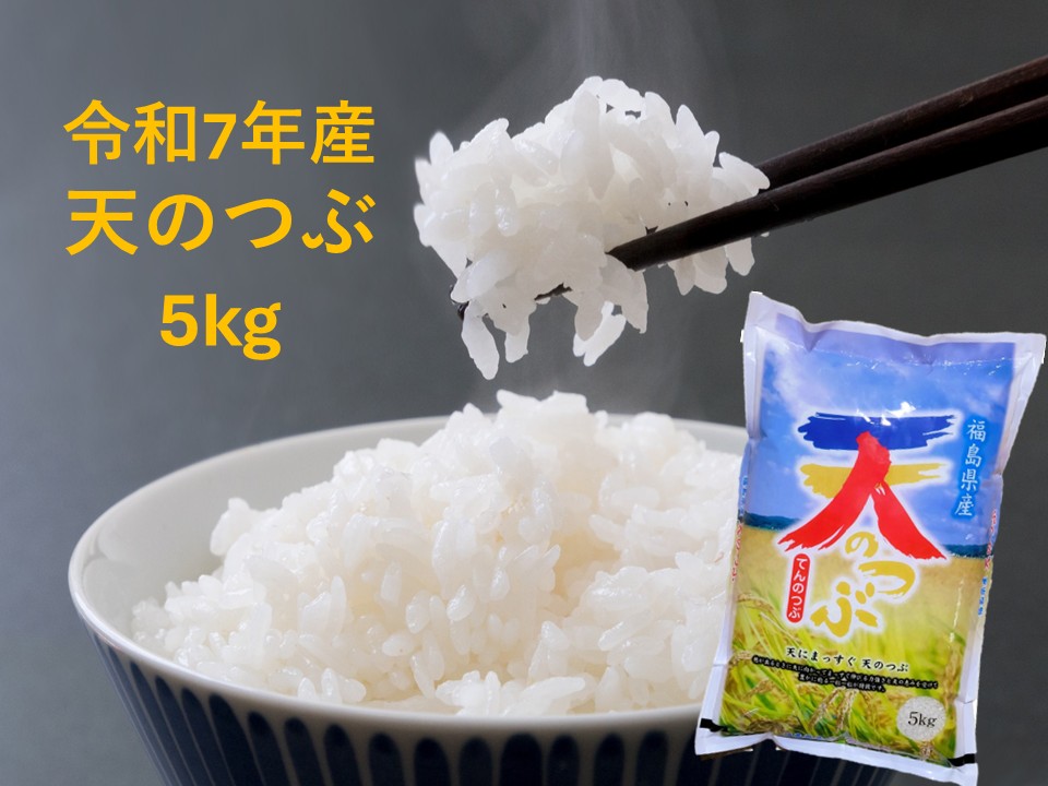 米 天のつぶ 5kg 令和7年産 福島県産 単一原料米 ごろくファーム